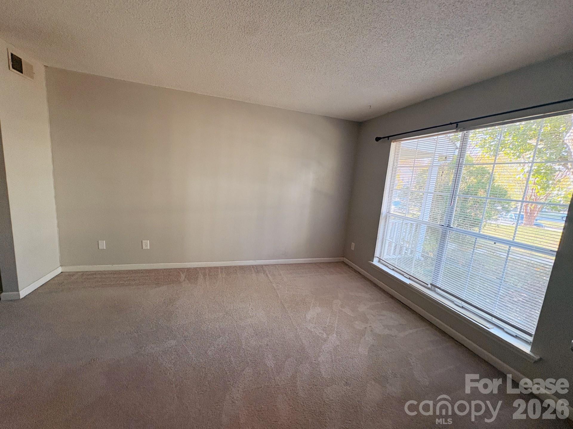 8209 Golf Ridge Drive Charlotte, NC 28277 - Photo 12 of 20