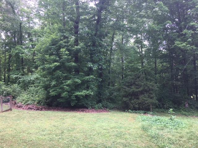 335 Rose Hill Lane Rutledge, TN 37861 - Photo 7 of 13 Rose 3