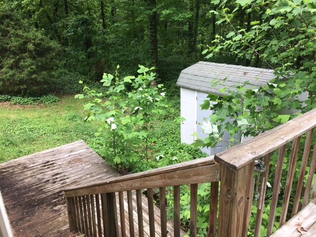 335 Rose Hill Lane Rutledge, TN 37861 - Photo 8 of 13 Rose 9