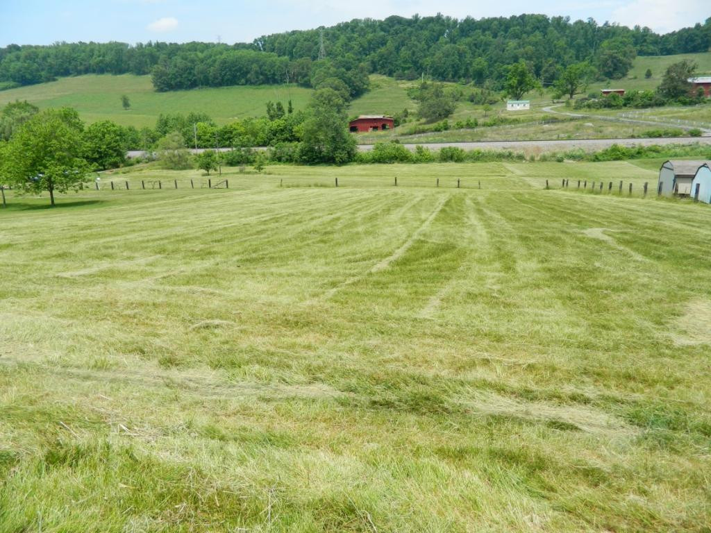 1276 Pleasant Grove Road Bluff City, TN 37618 - Photo 1 of 3 Photo 1