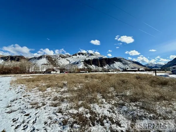 $19,900 | Lot 4 Blue Heron Drive, Salmon, ID 83467