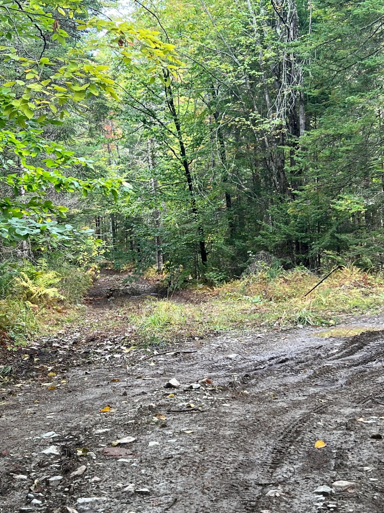Tbd Dogtown Road Palmyra, ME 04965 - Photo 13 of 56 307965195_2016370751886713_4546907570592