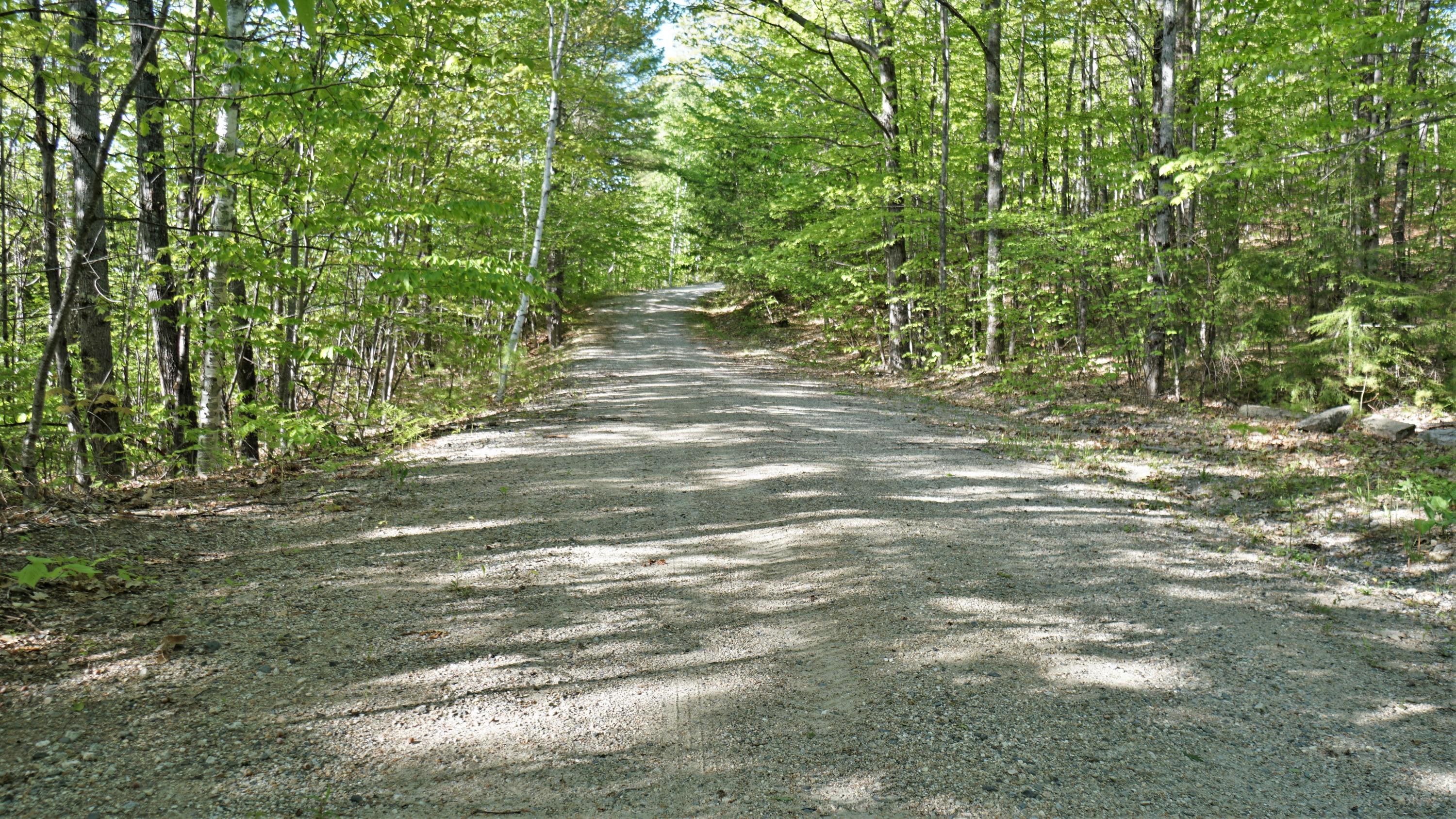 76 Hancock Pond Road Denmark, ME 04022 - Photo 59 of 133 DSC04246
