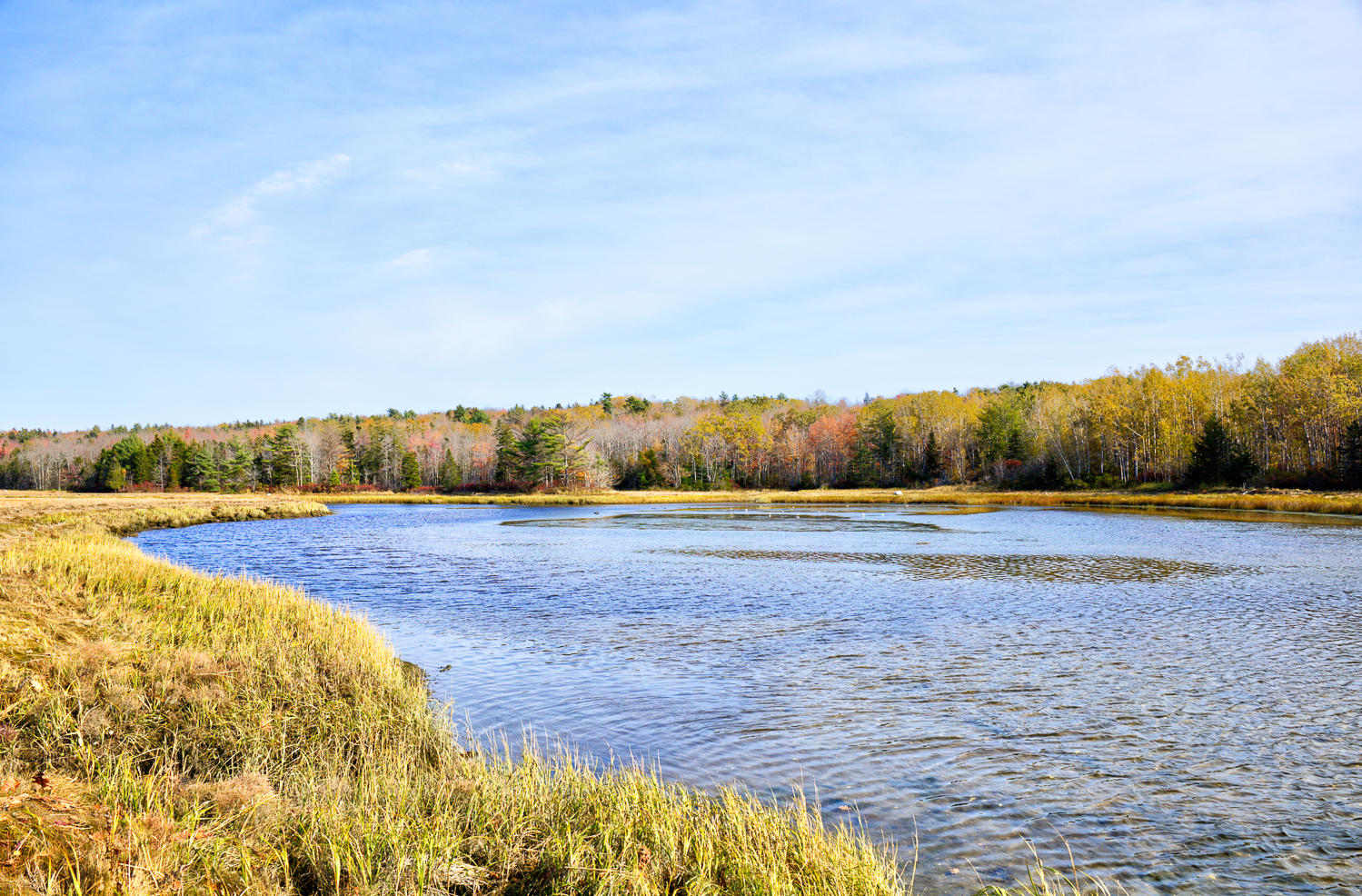 648 North Sedgwick Road Sedgwick, ME 04676 - Photo 51 of 67 D River 6