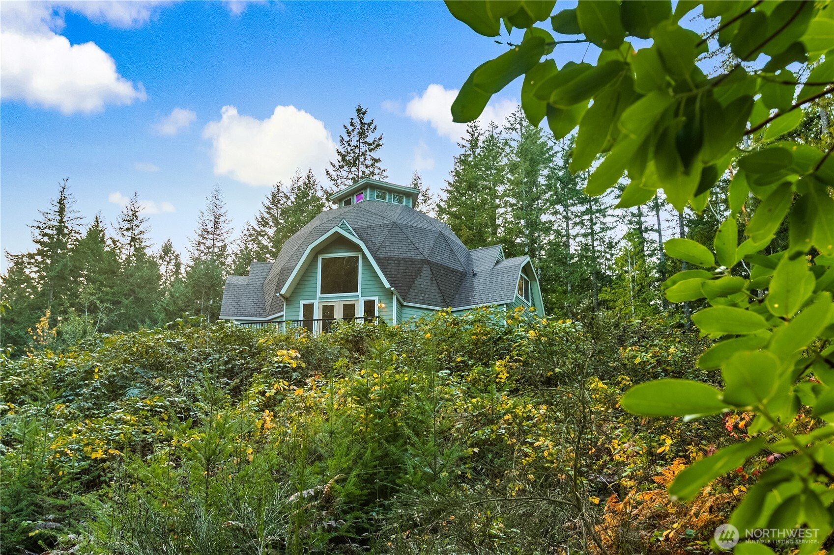 9504 Southwest Caulfield Lane Port Orchard, WA 98367 - Photo 39 of 40 a picture of a tree