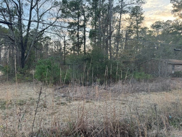 380 Mooneyham Road Sumter, SC 29153 - Photo 3 of 4 Gallery Image 3
