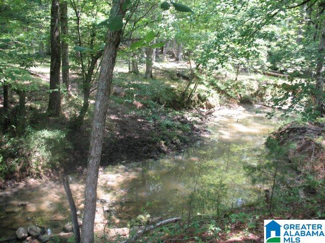 1717 Steele Station Road, Unit 1 Steele, AL 35987 - Photo 3 of 11