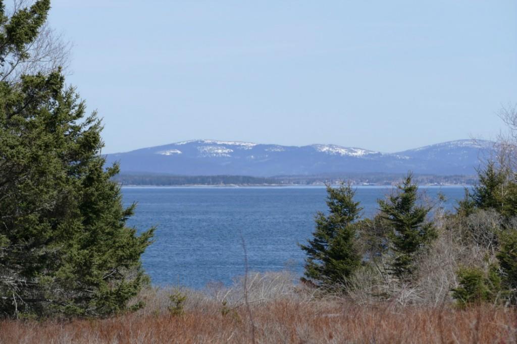 124 Atlantic Loop Road Swans Island, ME 04685 - Photo 10 of 24 Photo