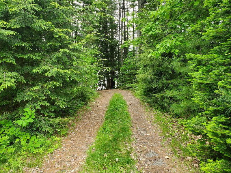 R7-l 4-6 North Pond Road Chesterville, ME 04938 - Photo 15 of 19 20190613_103854