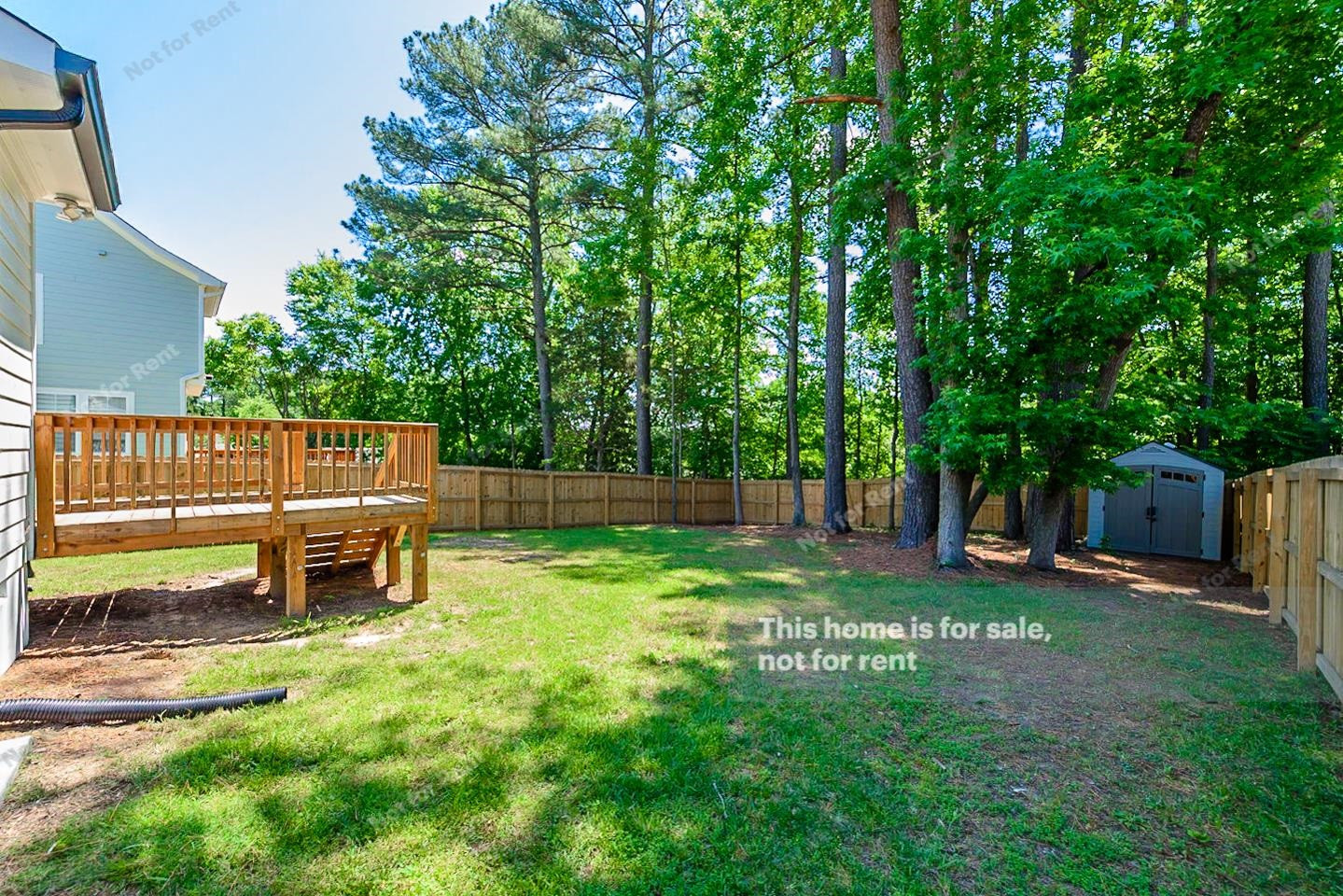 809 Cook Road Durham, NC 27713 - Photo 21 of 22 Photo 21