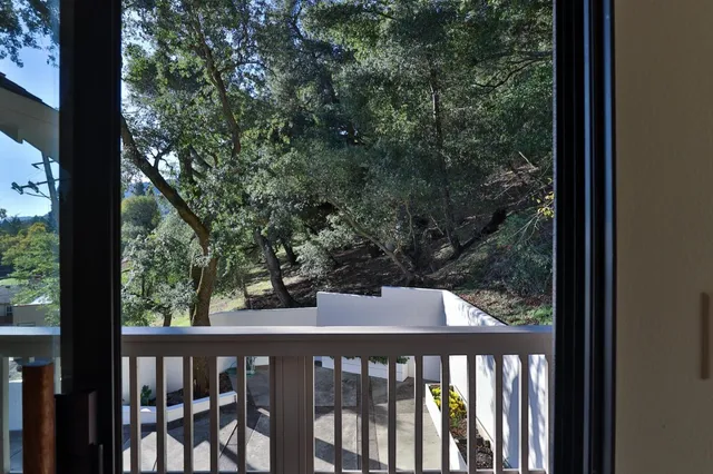 an aerial view of forest