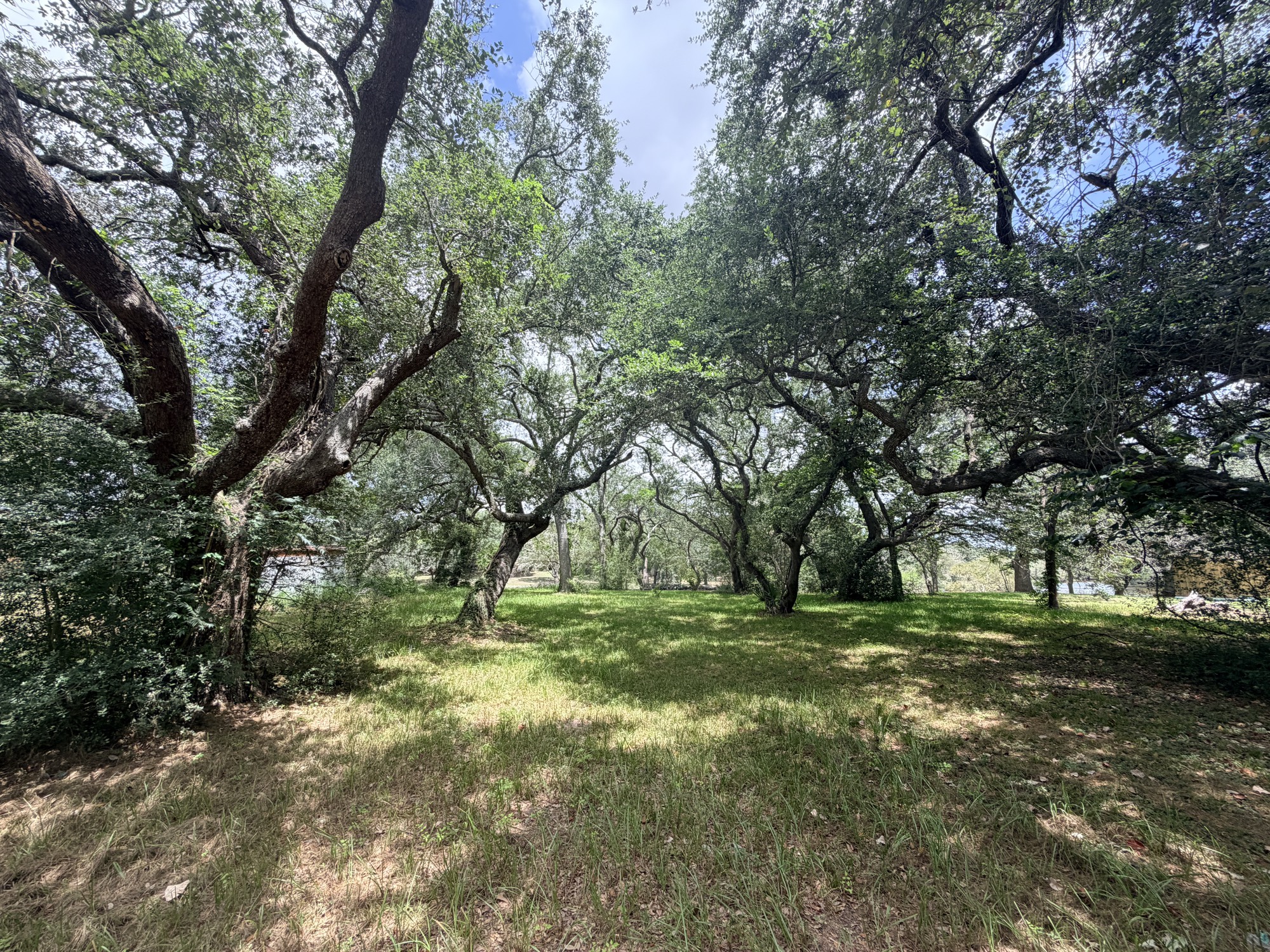 468 Riverside Drive Palacios, TX 77465 - Photo 6 of 12 Gallery Image 6