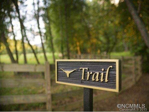 Lot 28 Jake Ridge Trail, Unit 28 Fletcher, NC 28732 - Photo 2 of 10