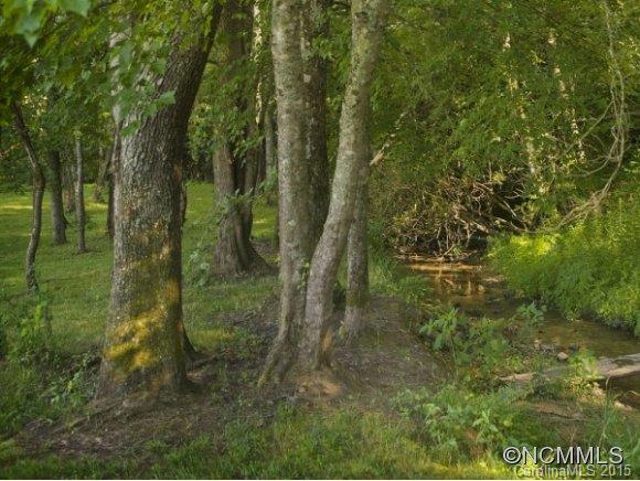 Lot 28 Jake Ridge Trail, Unit 28 Fletcher, NC 28732 - Photo 3 of 10