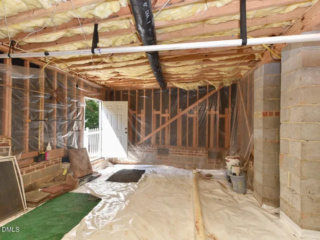 a view of a forest filled with trees