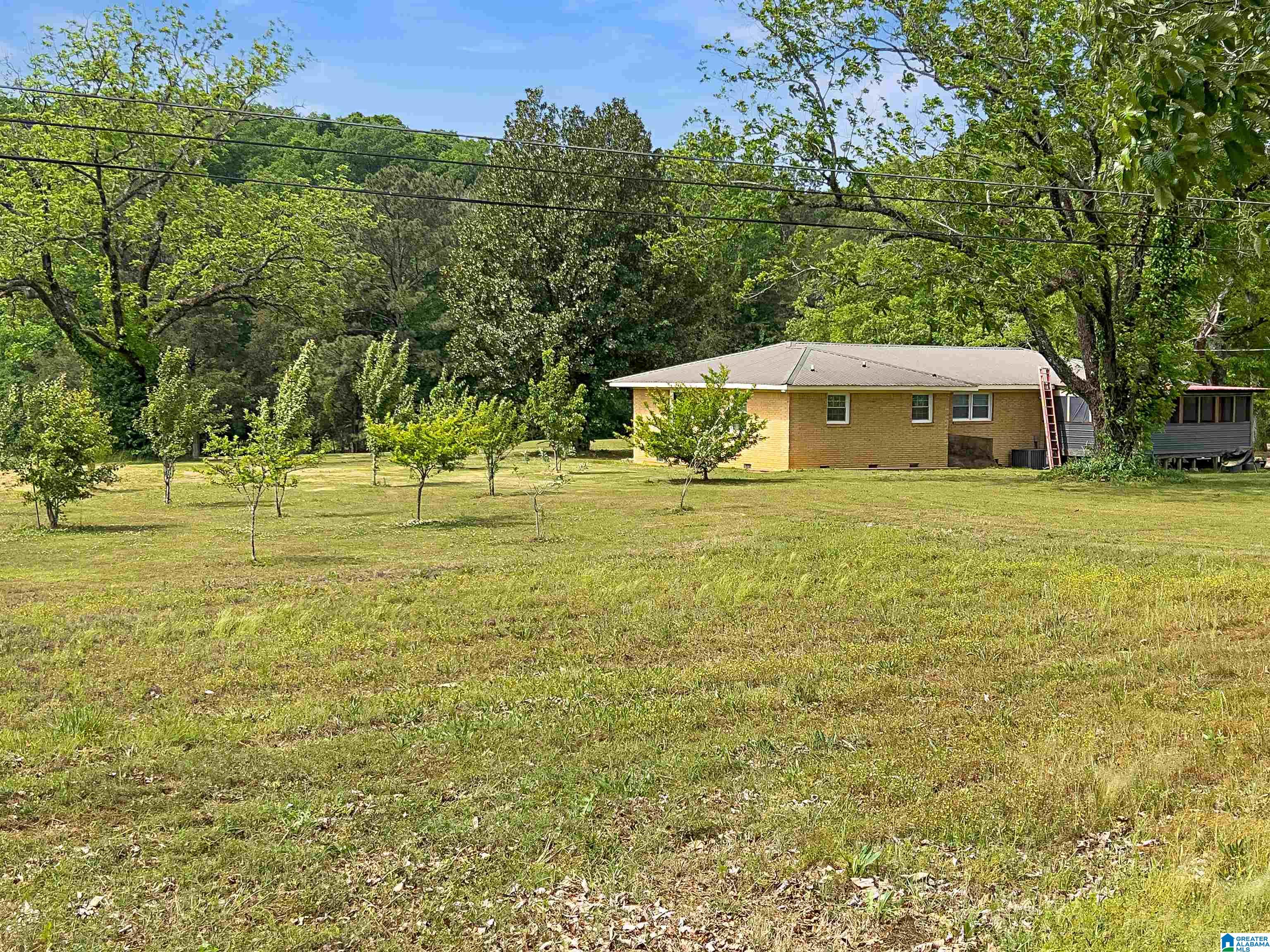 4694 Holly Grove Road Jasper, AL 35501 - Photo 7 of 42