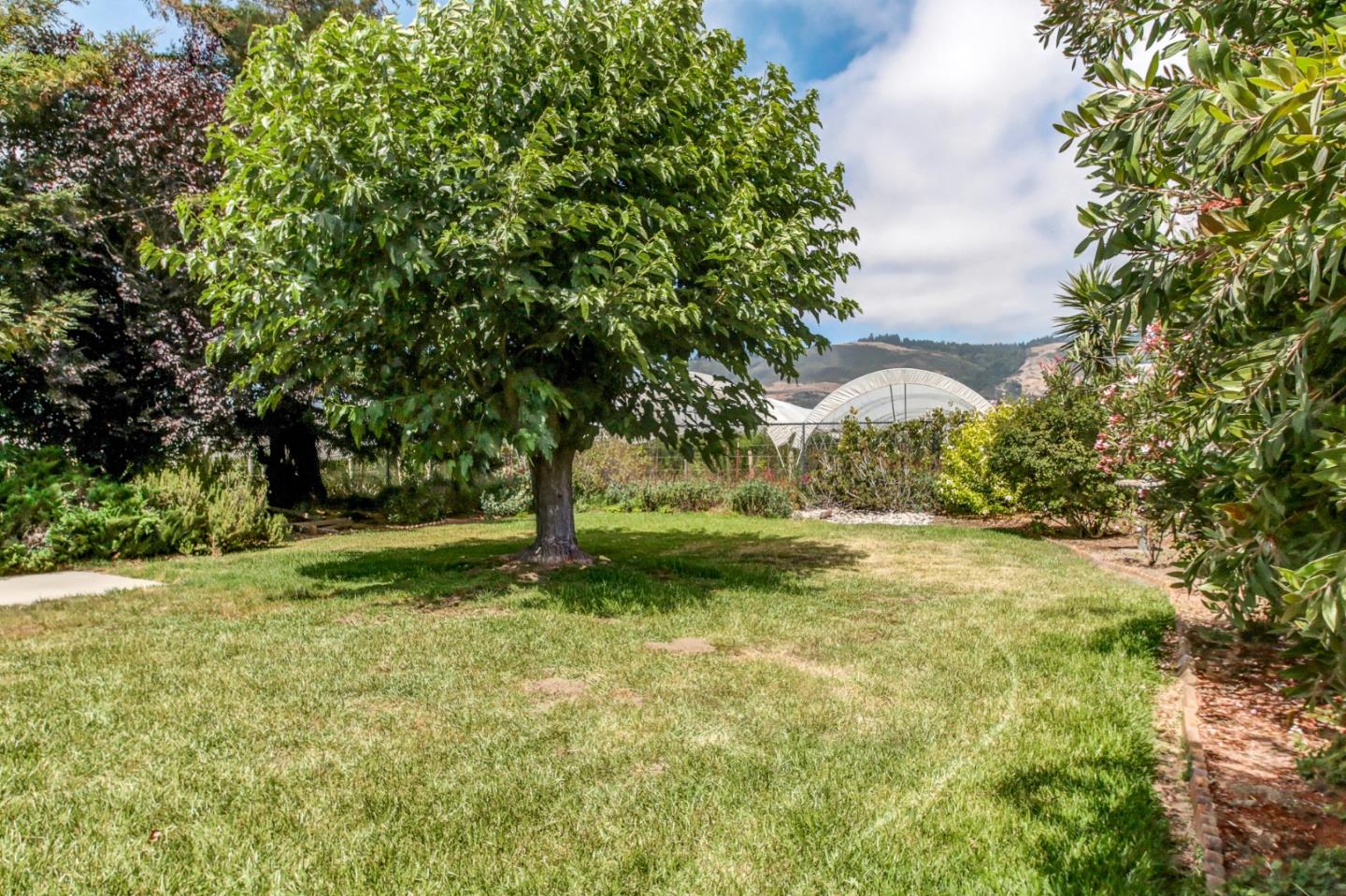 85 Kerr Road Watsonville, CA 95076 - Photo 23 of 29 a view of backyard with green space