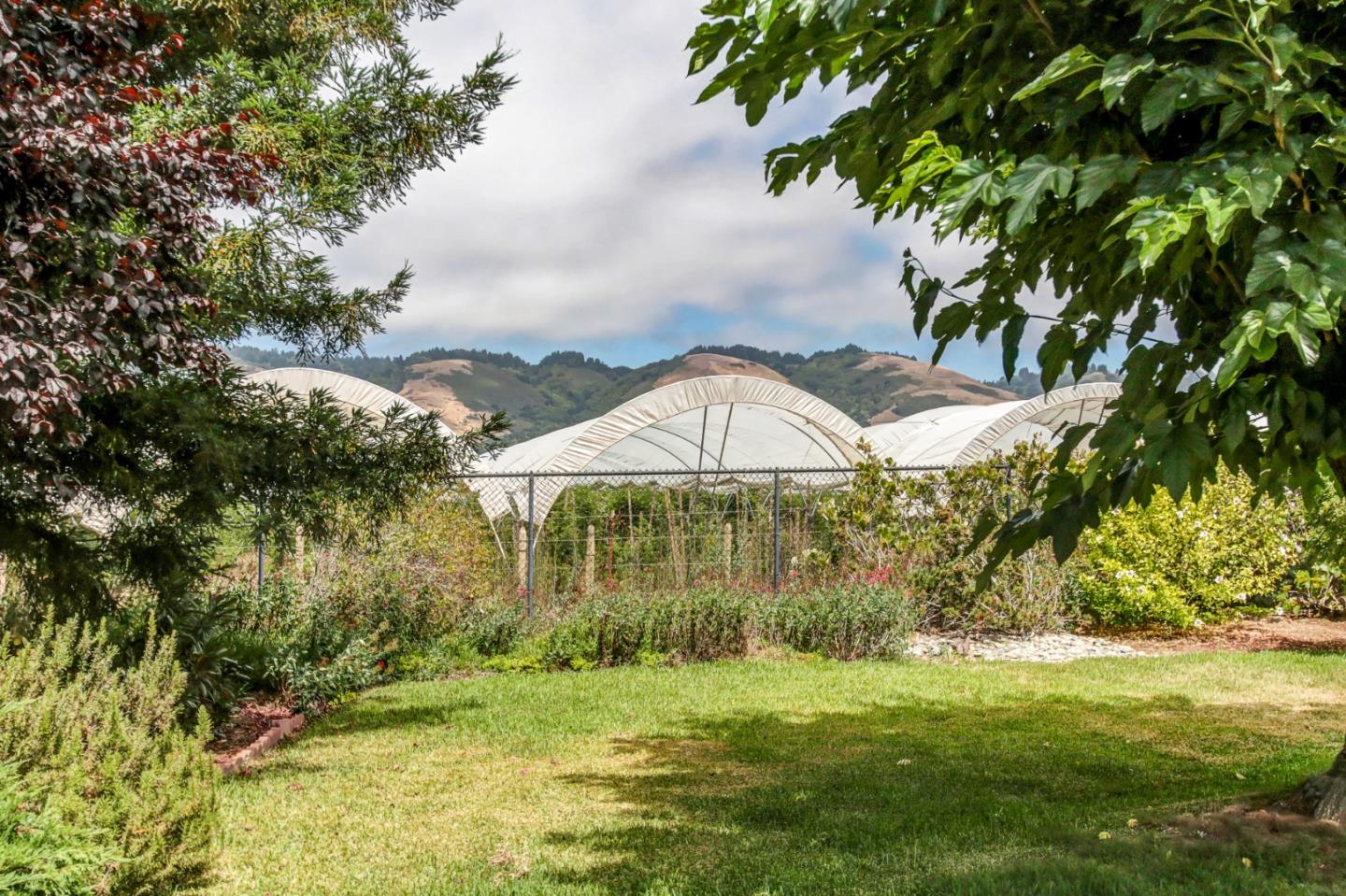 85 Kerr Road Watsonville, CA 95076 - Photo 28 of 29 a view of a backyard