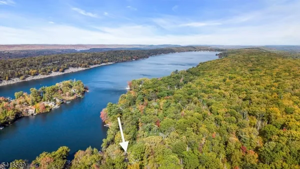 a view of a lake with a city