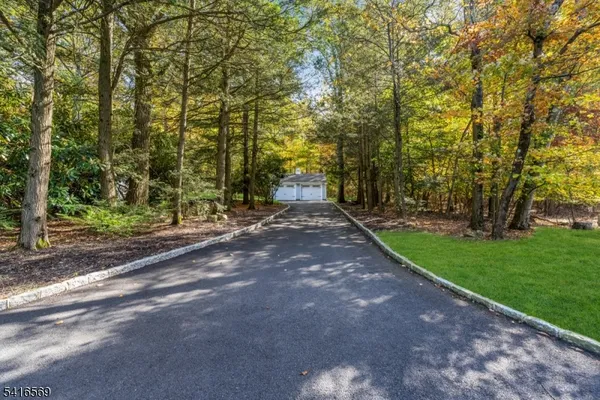 a view of a yard with plants and trees