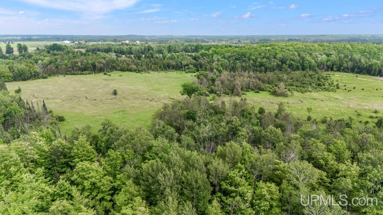 Tbd Tbd Delta Menominee C Road Bark River, MI 49807 - Photo 13 of 13