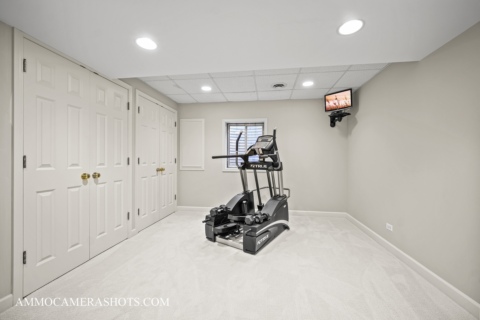 1161 Midwest Lane Wheaton, IL 60189 - Photo 30 of 45