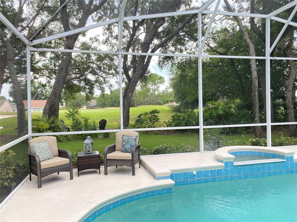 8052 Laurel Ridge Drive Mount Dora, FL 32757 - Photo 4 of 6