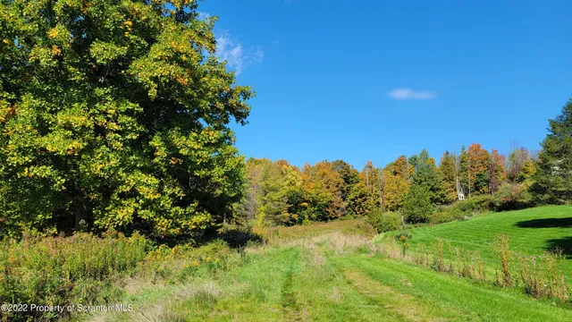 a view of a yard with a tree