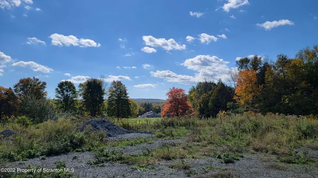 a view of a yard with green space