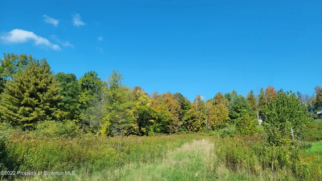a view of a yard with a tree