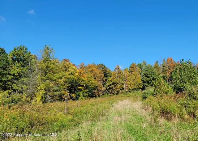 a view of a large yard with lots of trees