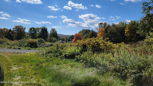 a view of a bunch of trees