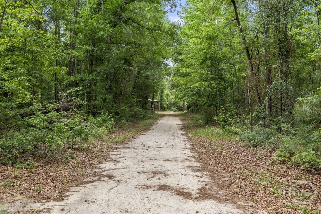 373 Chuck Ellis Road Portal, GA 30450 - Photo 56 of 67