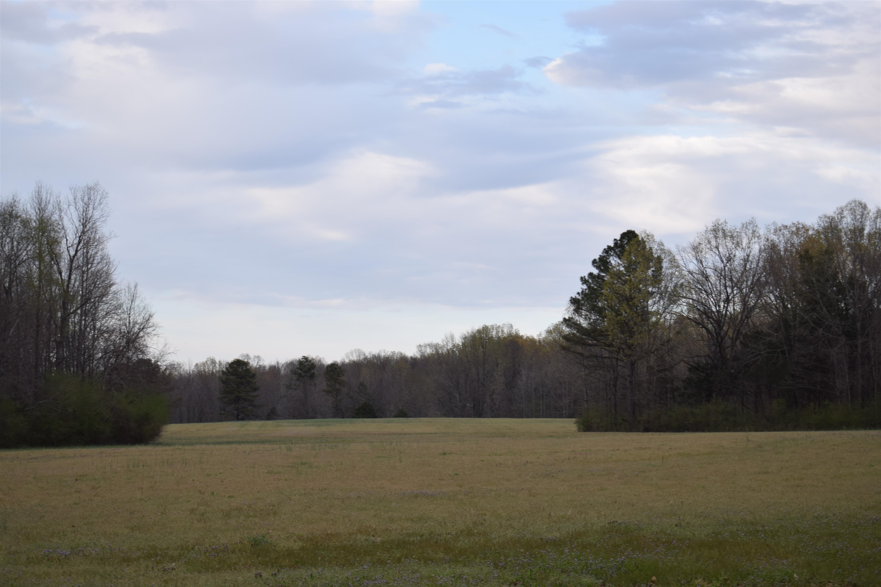 a view of an ocean and a mountain