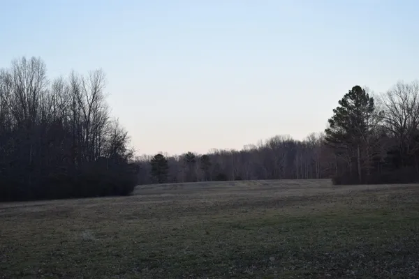a view of dirt field with trees in background