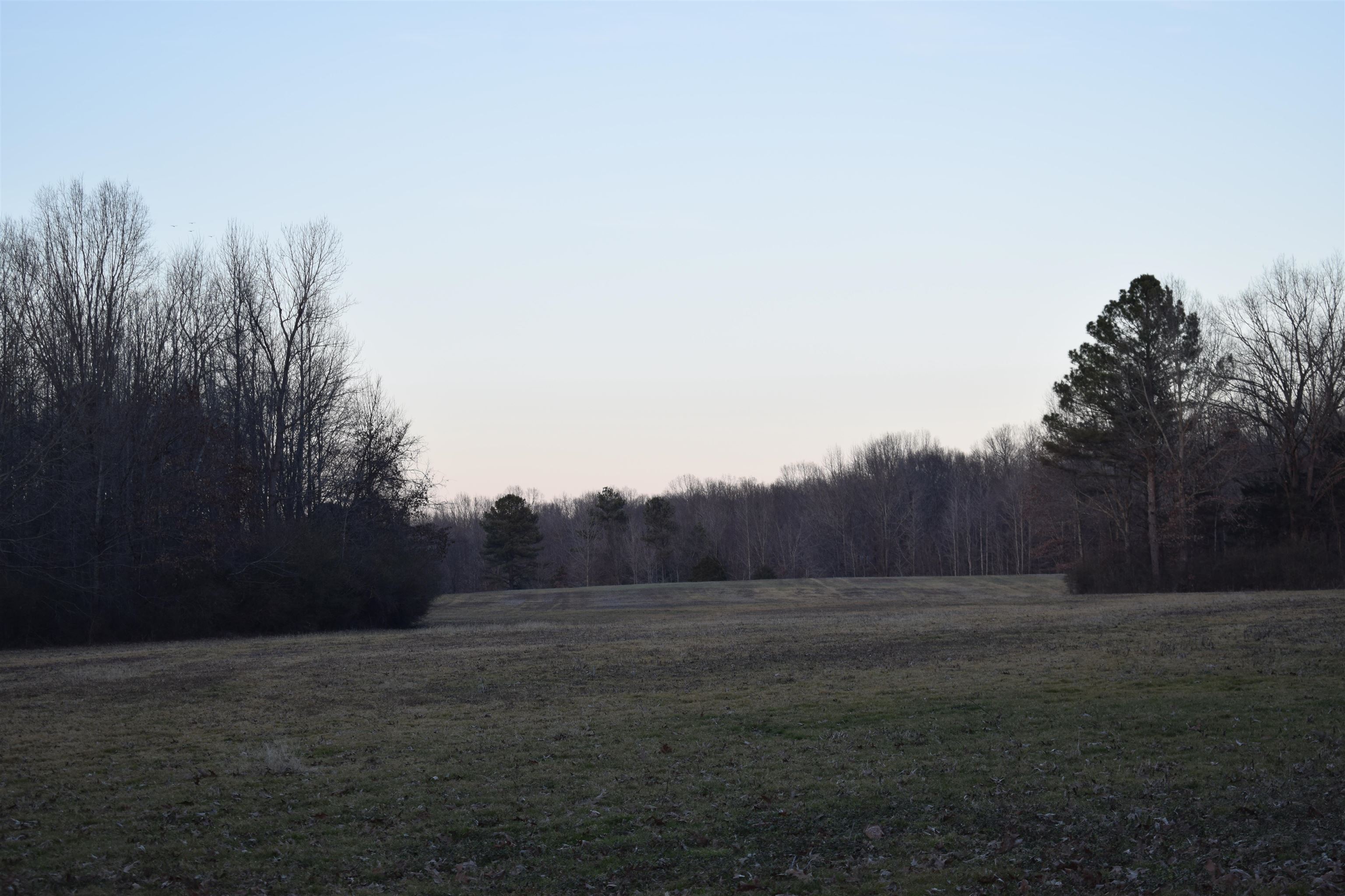 0 Hwy 193 Road Oakland, TN 38060 - Photo 2 of 6 a view of dirt field with trees in background