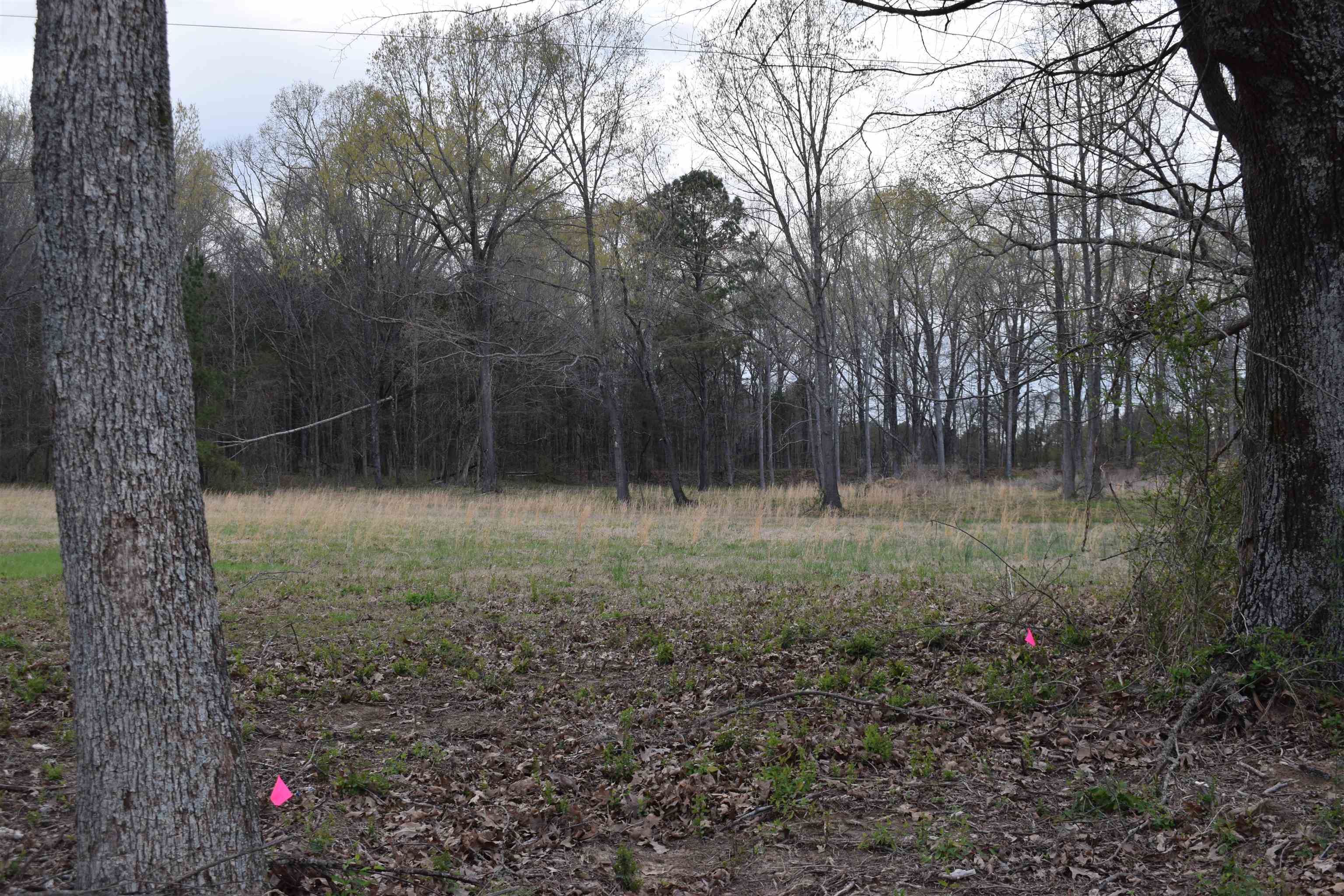 0 Hwy 193 Road Oakland, TN 38060 - Photo 3 of 6 a backyard of a house with lots of green space