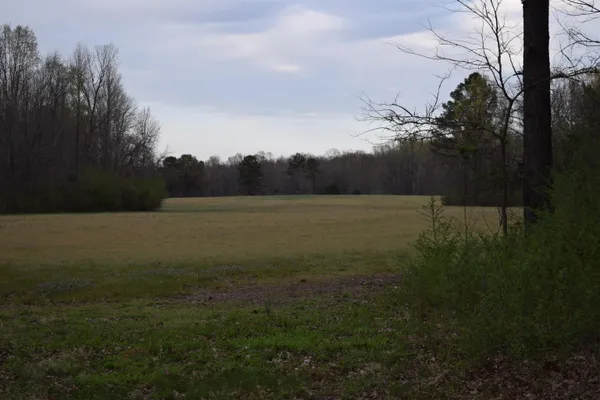 a view of a field of grass and trees