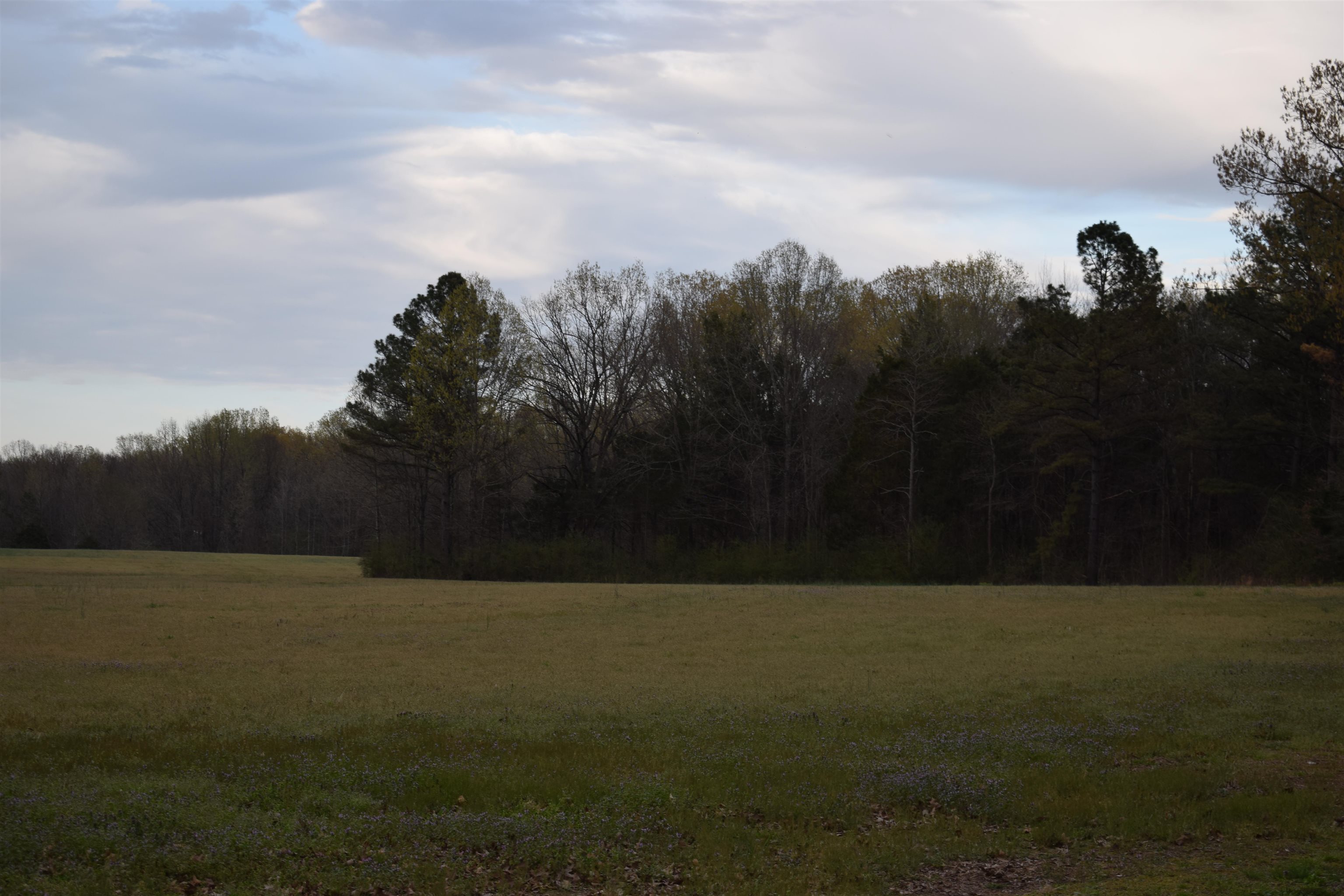 0 Hwy 193 Road Oakland, TN 38060 - Photo 5 of 6 a view of a field of grass and trees