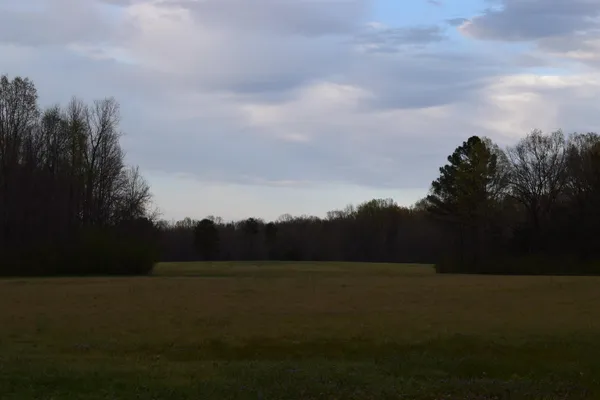 $1,030,000 | 0 Hwy 193 Road, Oakland, TN 38060