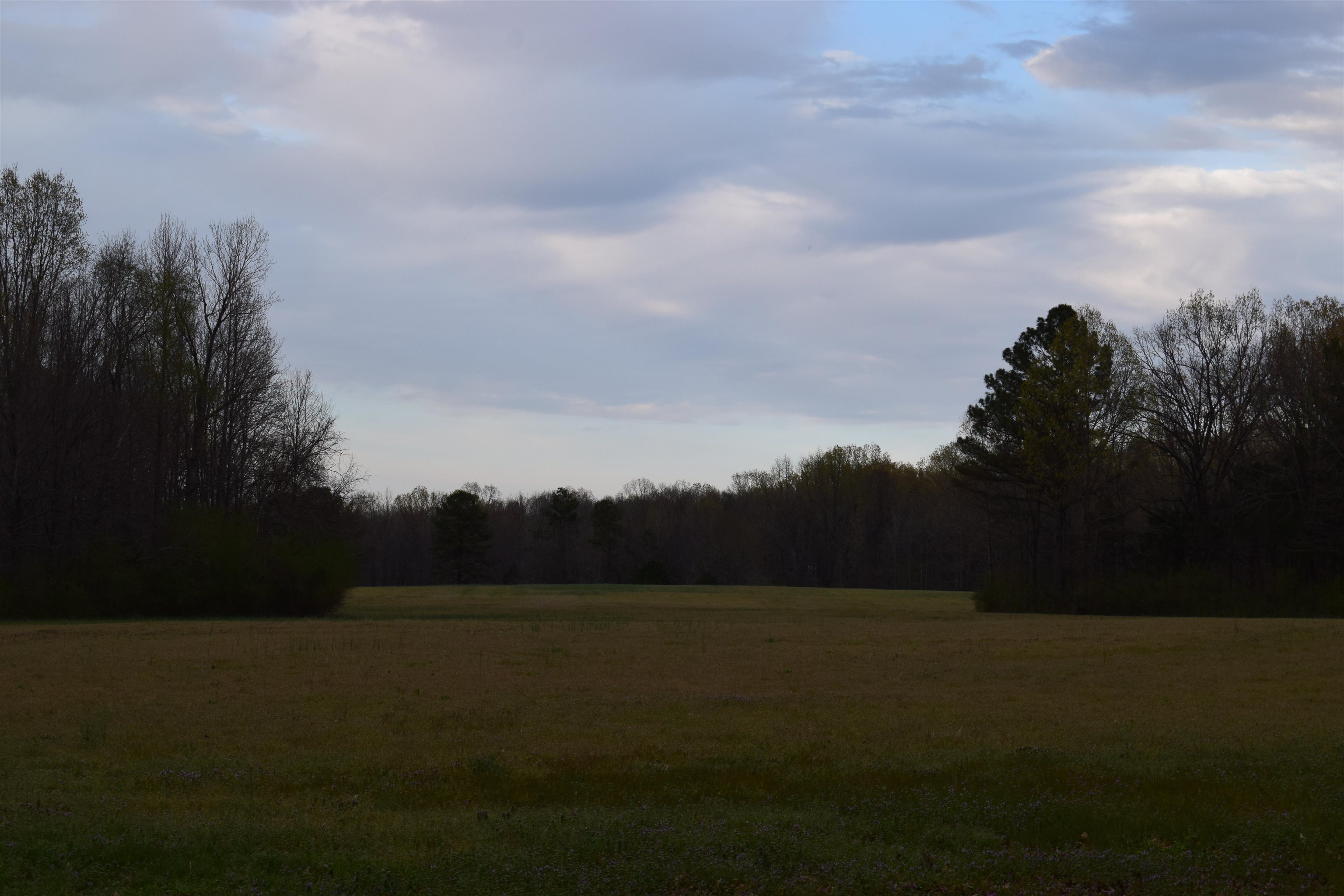 0 Hwy 193 Road Oakland, TN 38060 - Photo 6 of 6 a view of mountain with lake view