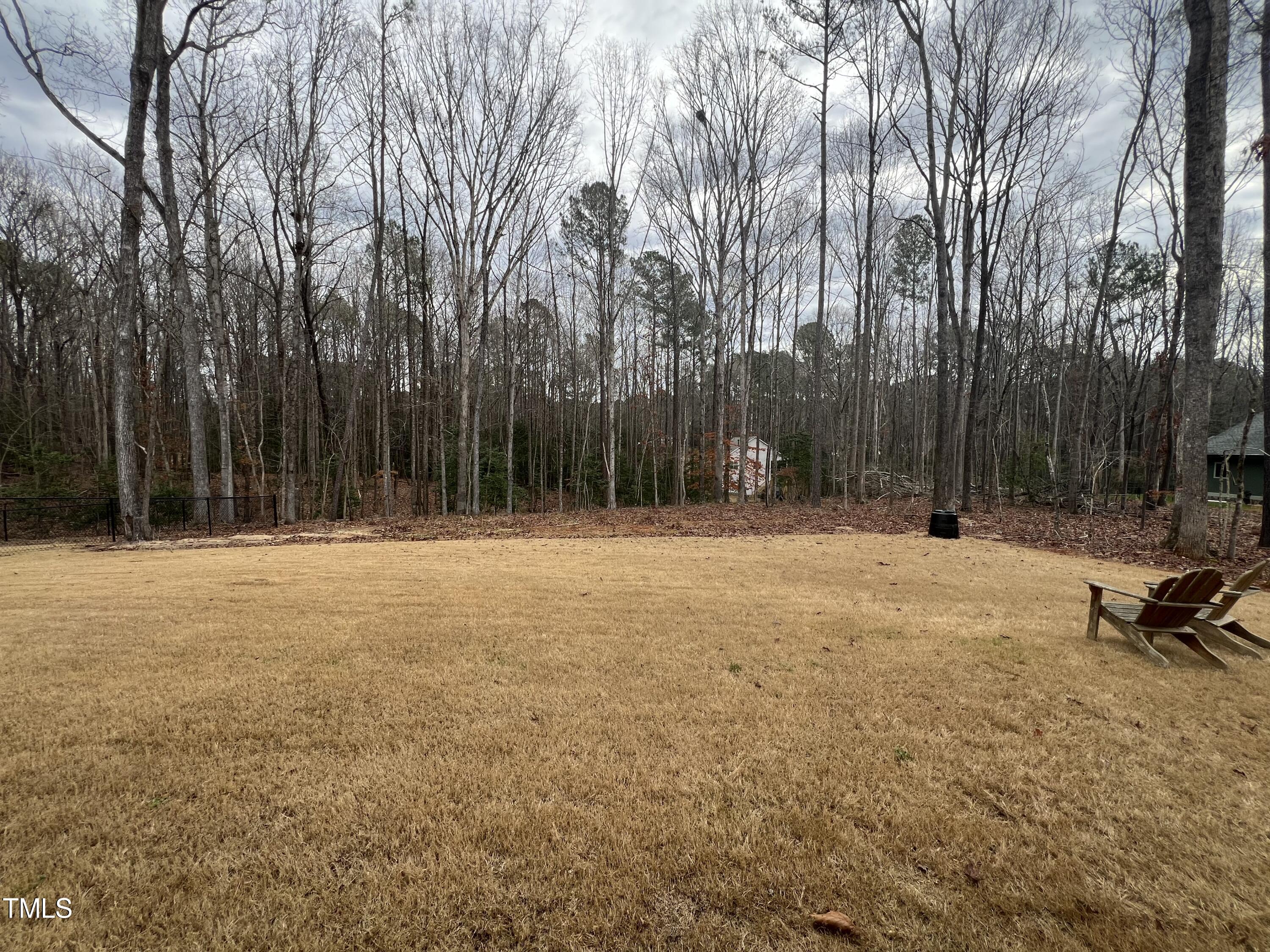 117 Clear Water Road Louisburg, NC 27549 - Photo 4 of 34 a view of outdoor space with trees