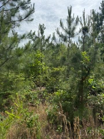 2085 Felix Road Nathalie, VA 24577 - Photo 15 of 18 Gallery Image 15