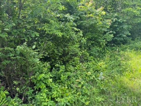 2085 Felix Road Nathalie, VA 24577 - Photo 16 of 18 Gallery Image 16