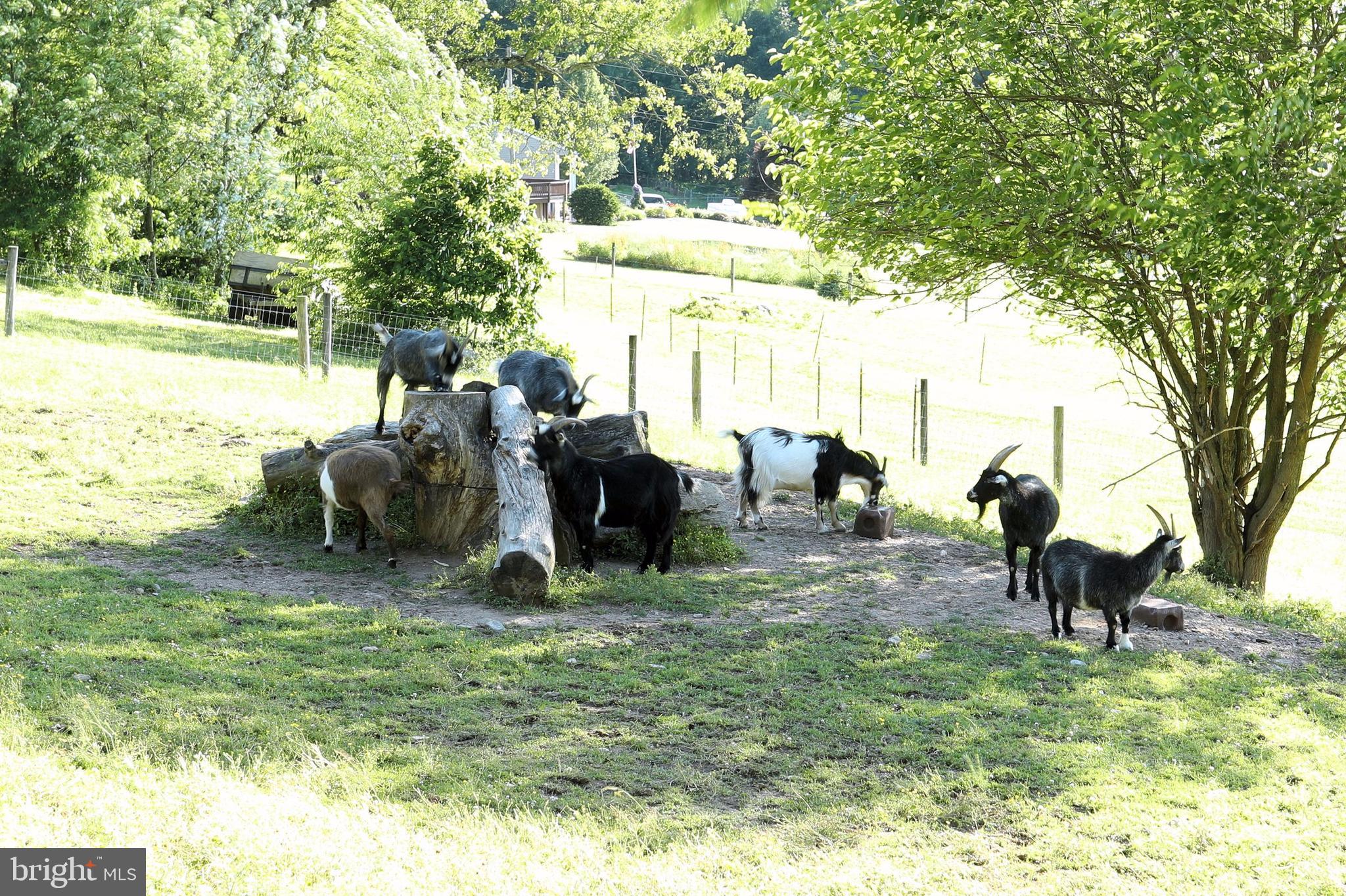 6212 Dairy Road Red Lion, PA 17356 - Photo 45 of 45 Gallery Image 45