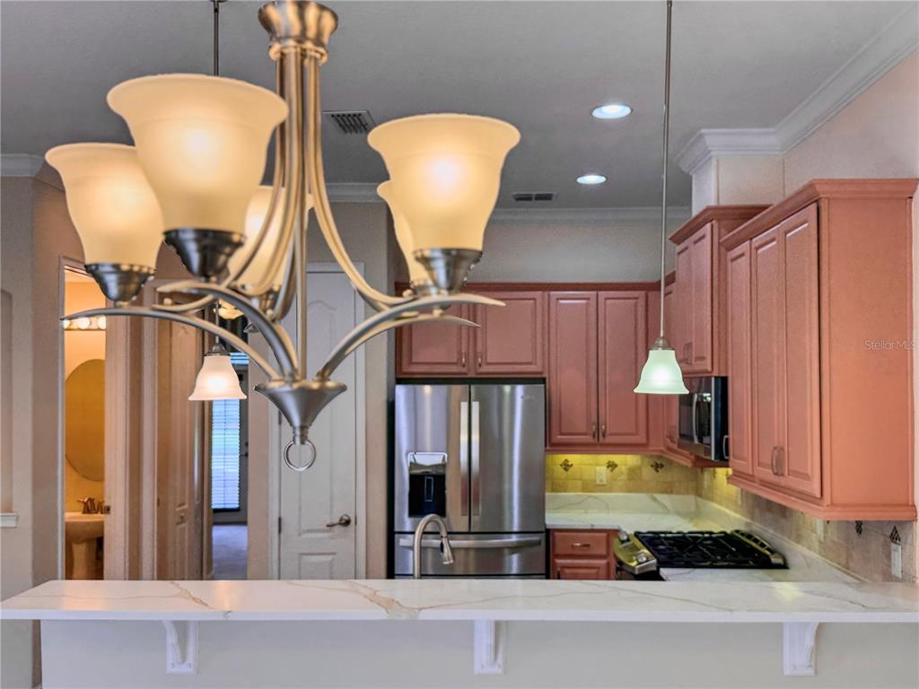 10615 Village Lake Road Windermere, FL 34786 - Photo 14 of 62 Gallery Image 14