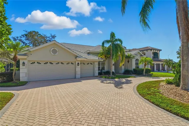 a dining room with furniture and a potted plant