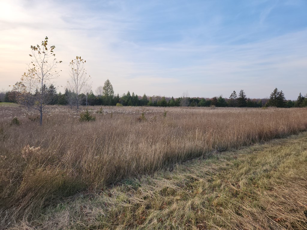 Tbd Cobblestone Road Egg Harbor, WI 54209 - Photo 7 of 14 Gallery Image 7