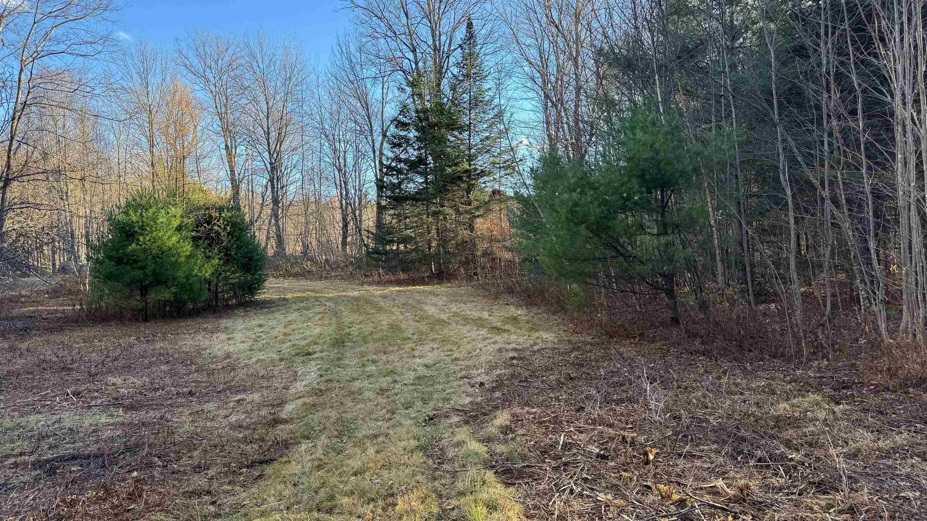 50 Cheney 4-Corner Road Newbury, VT 05040 - Photo 17 of 38