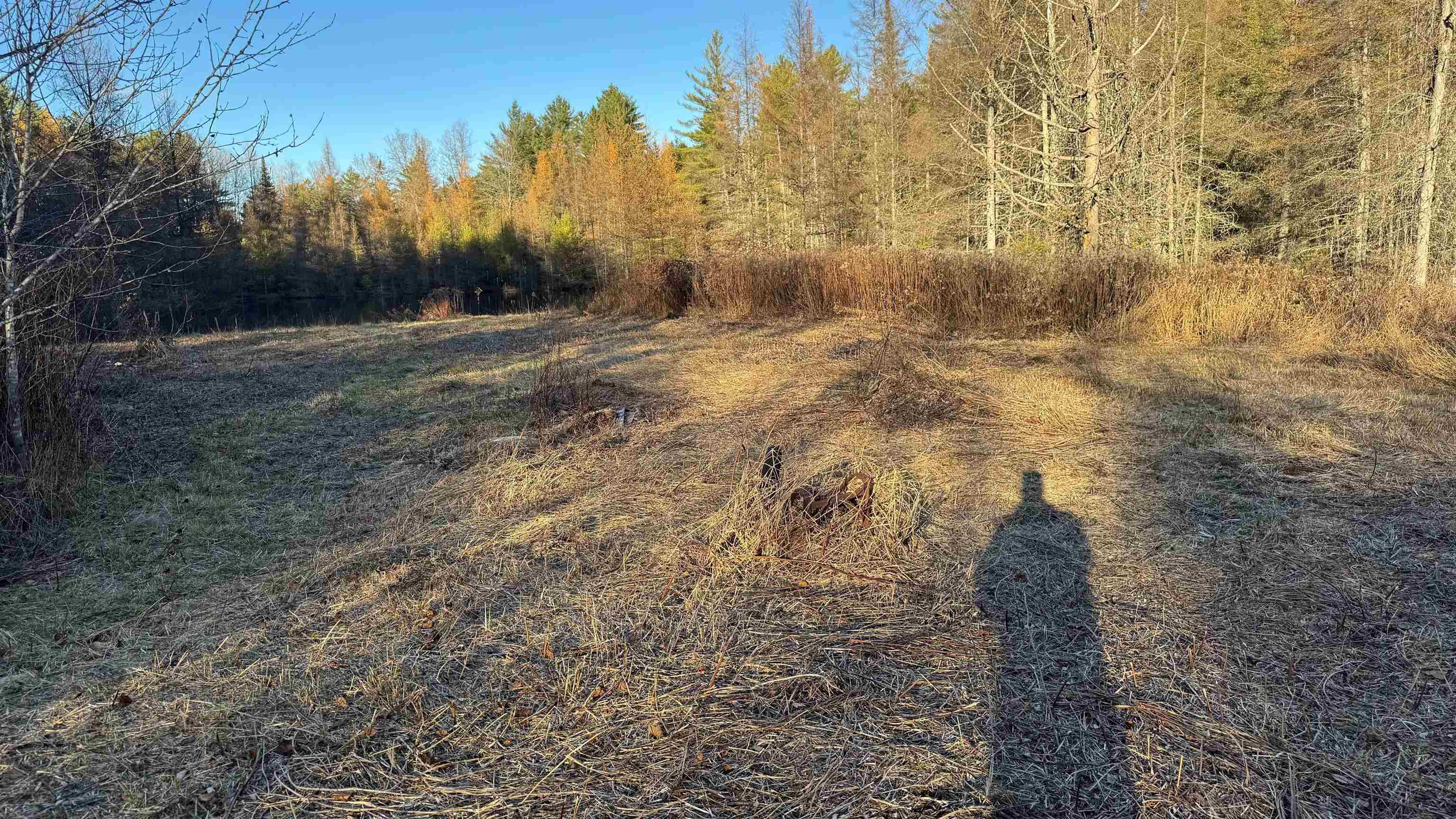 50 Cheney 4-Corner Road Newbury, VT 05040 - Photo 27 of 38